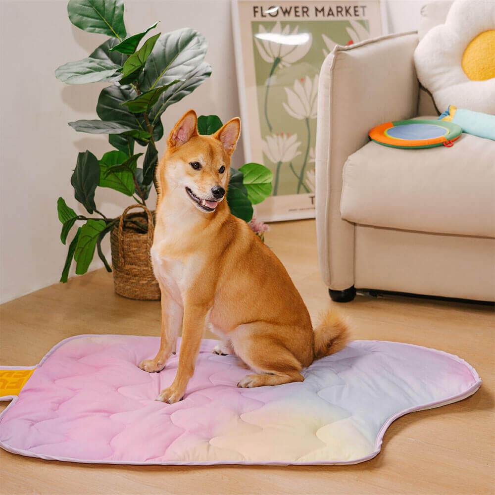 iChill Tapis Rafraîchissant pour Chien Lavable Ice Cream
