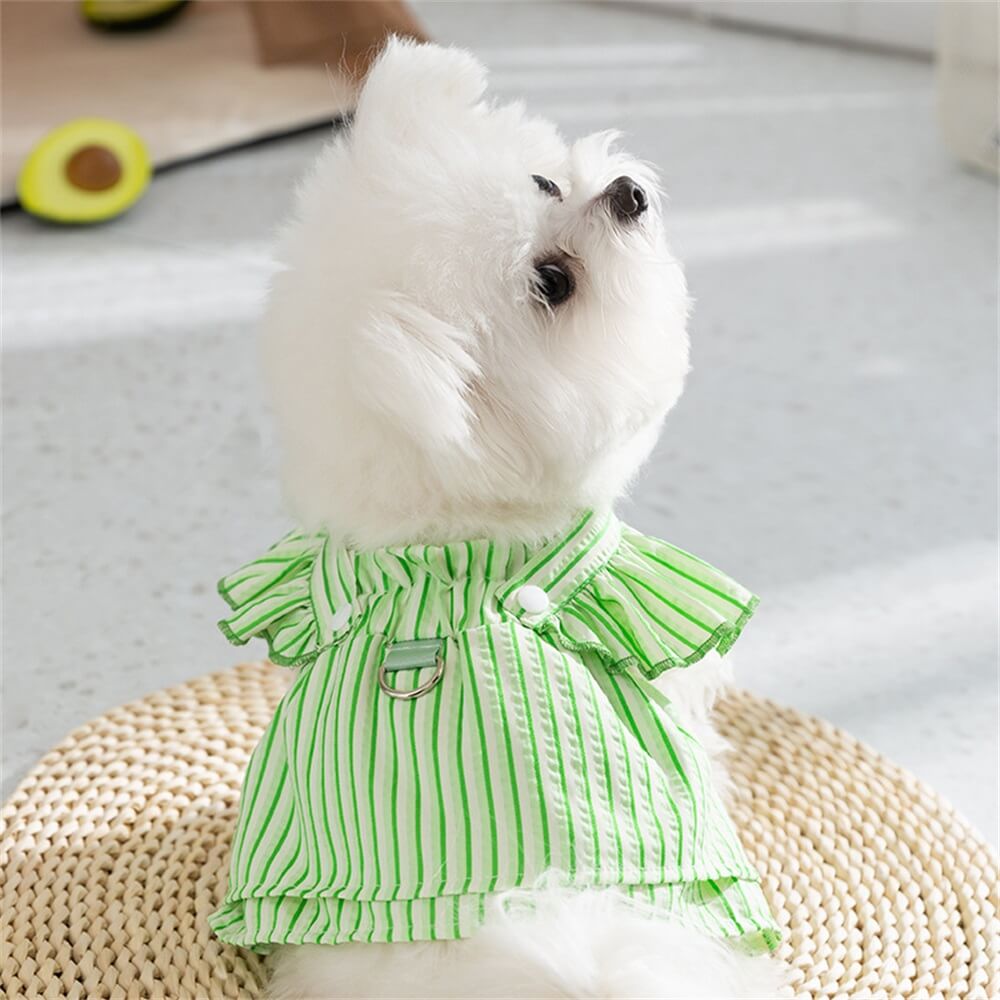 Robe Harnais pour Chien à Volants Rayée