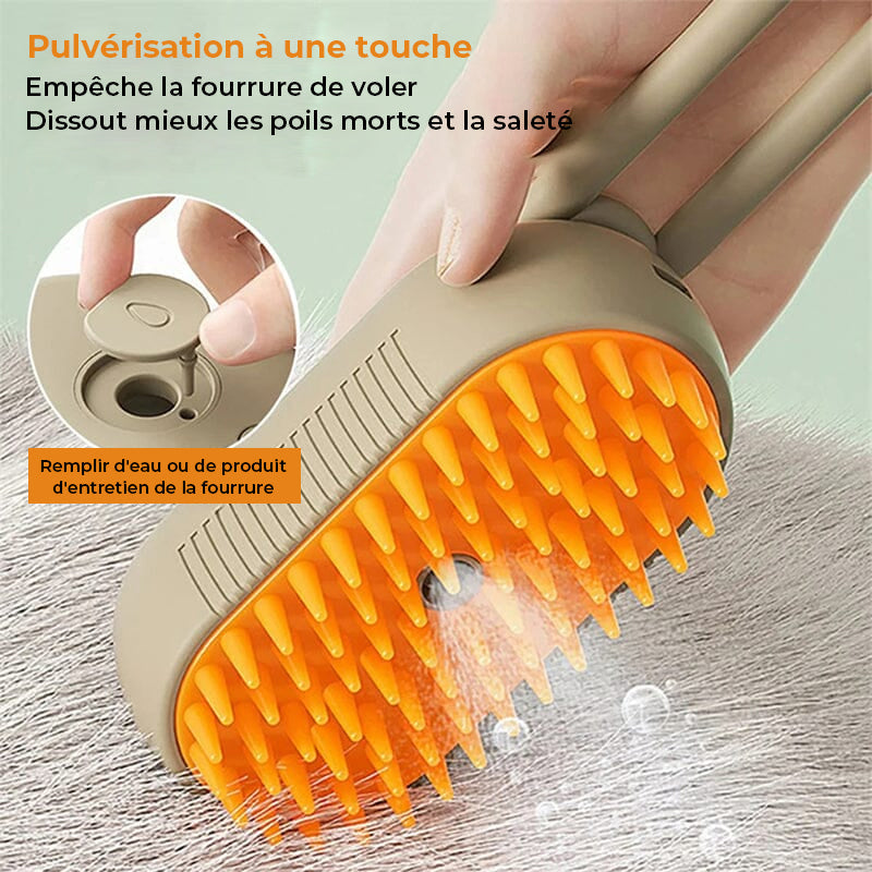 Animal Paint Canovax