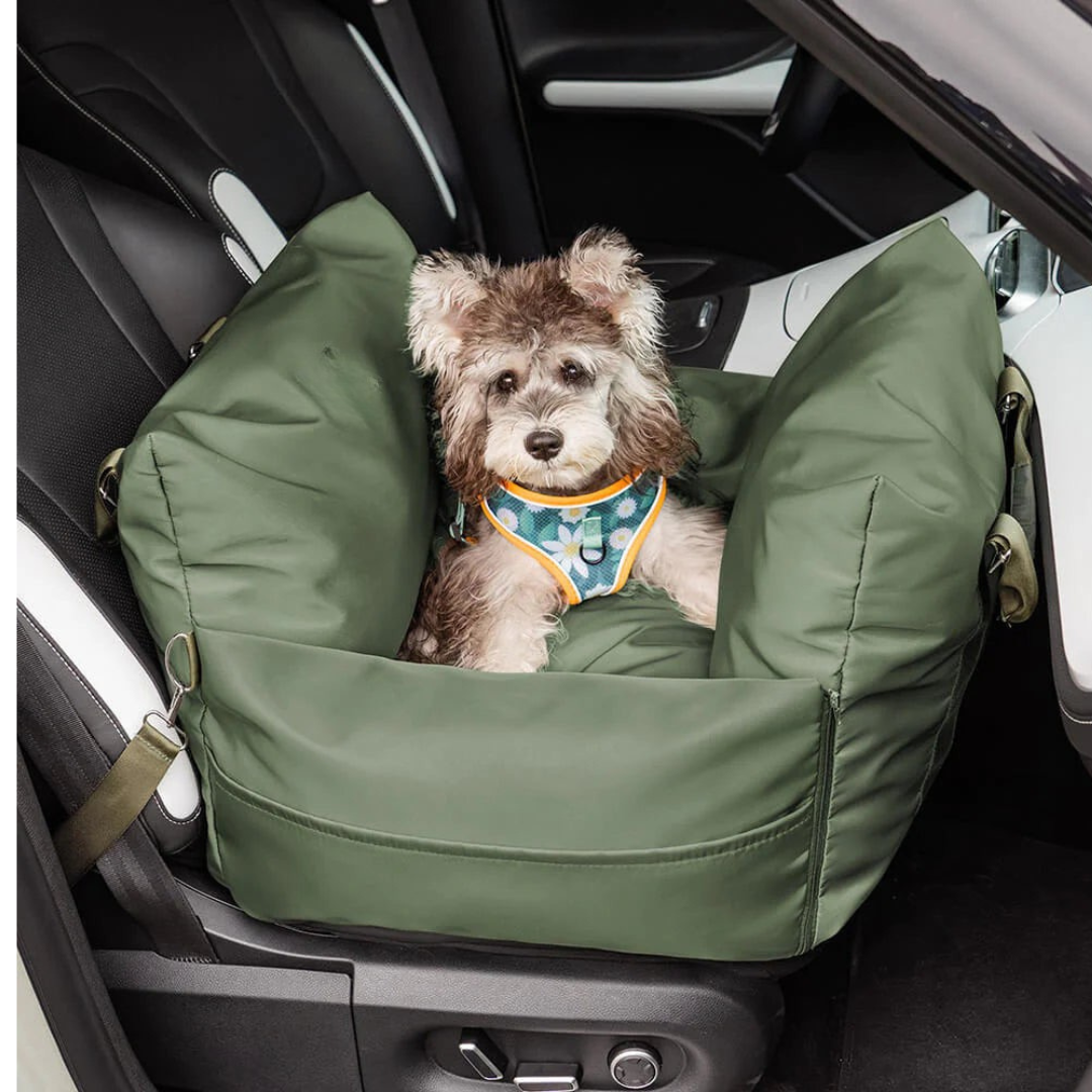 Siège auto pour Chien - Première Classe
