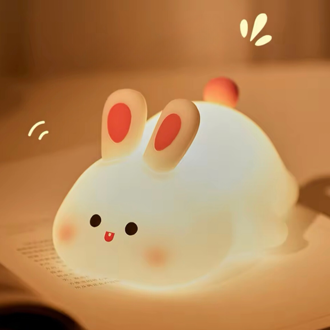 Veilleuse lumineuse Canovax