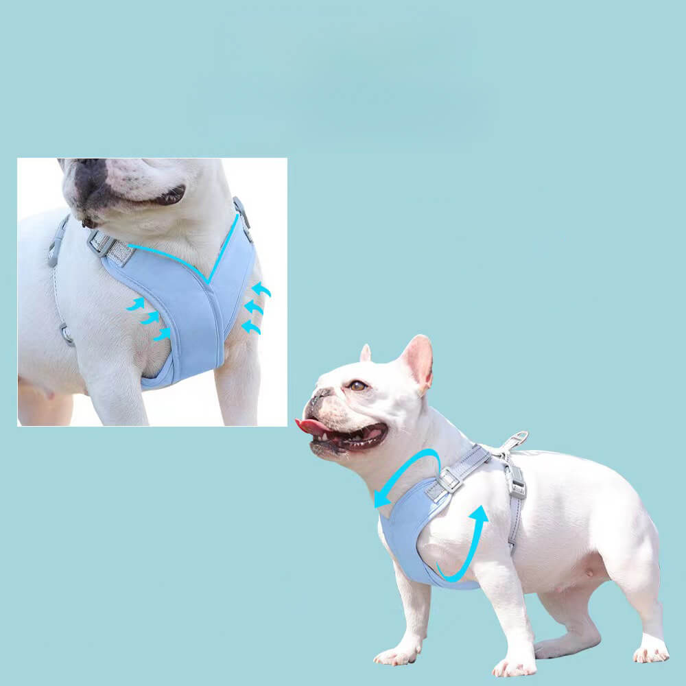 Harnais pour Chien avec Corde de Traction - Respirant et Sécurisé