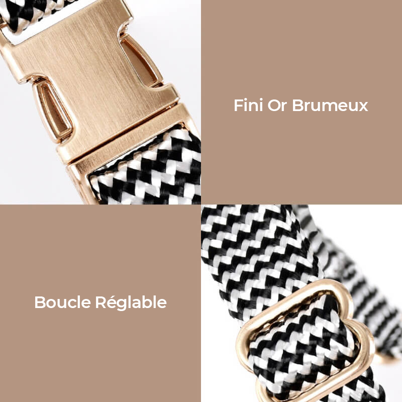 Collier pour Chien avec Imprimé Zèbre et Protège-Cou Set de Promenade