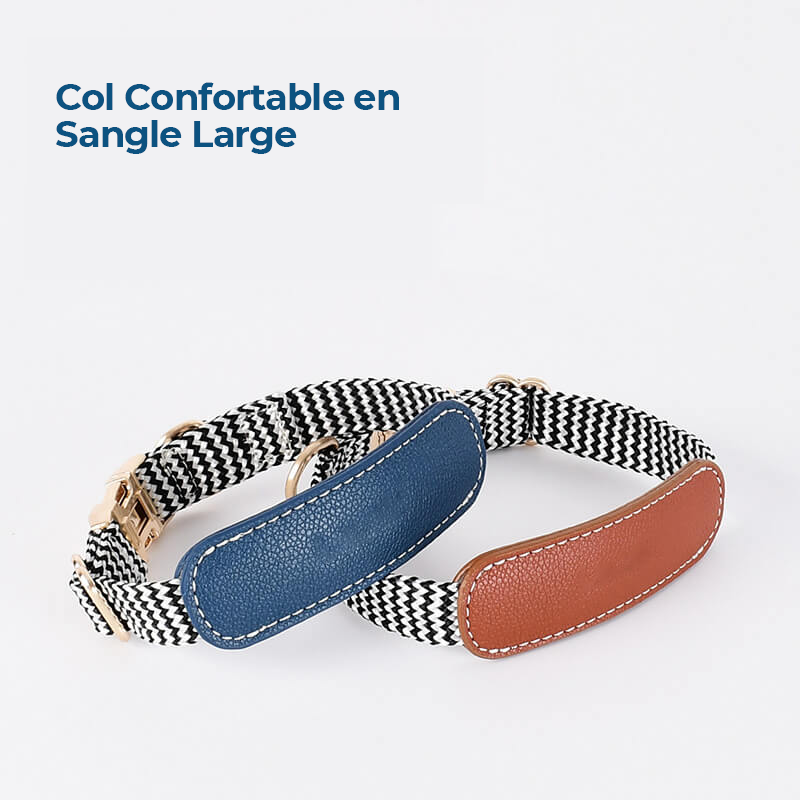 Collier pour Chien avec Imprimé Zèbre et Protège-Cou Set de Promenade
