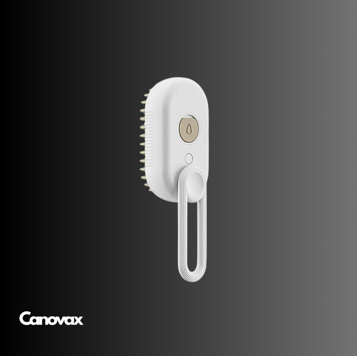 Animal Paint Canovax