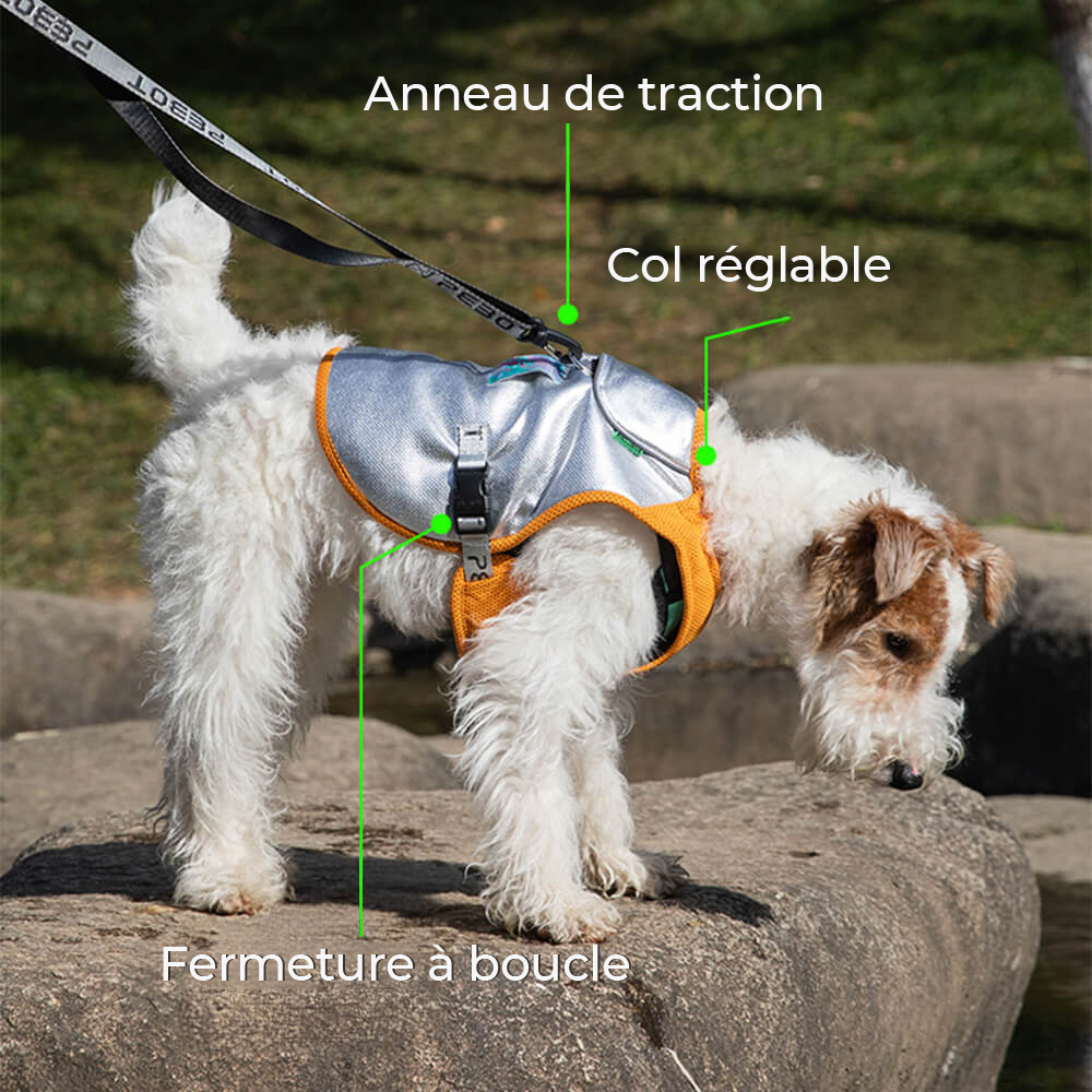 Gilet Refroidissant Léger Protection UV Pour Chien