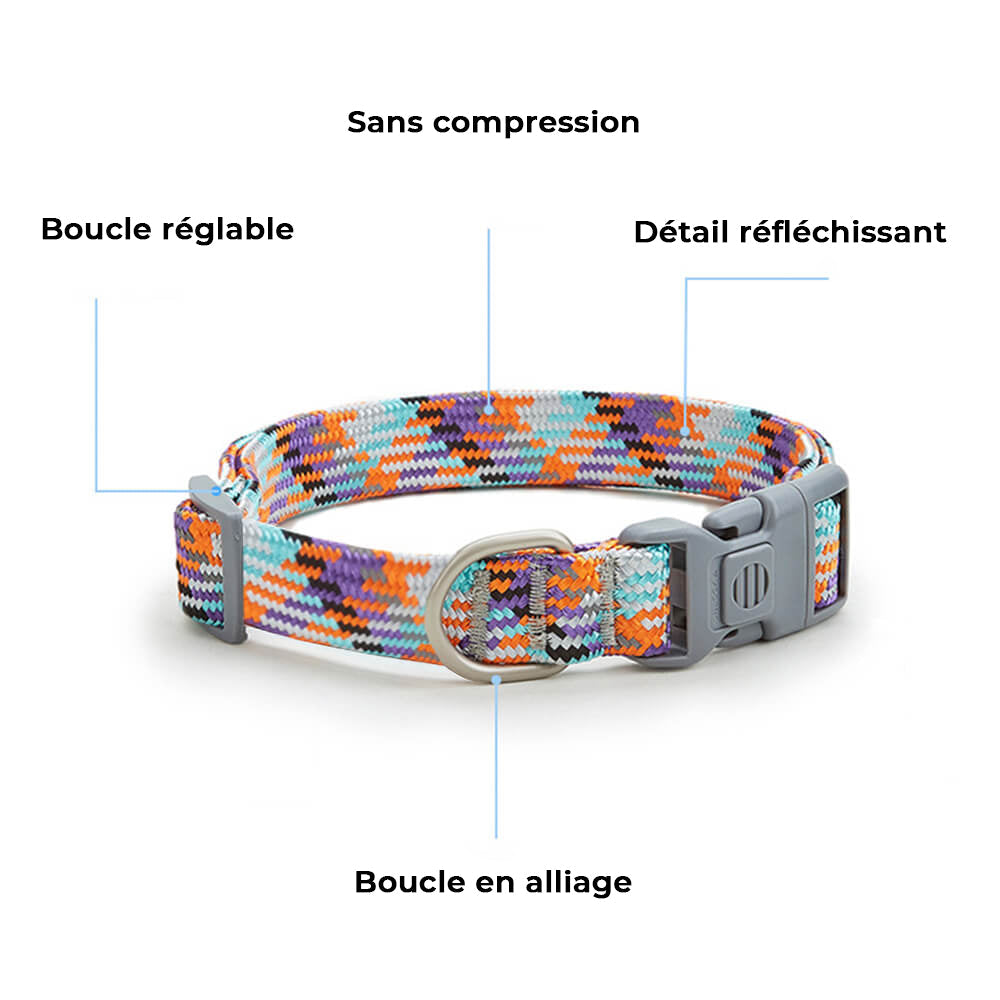 Collier et laisse pour chien anti-traction réglables à tissage réfléchissant