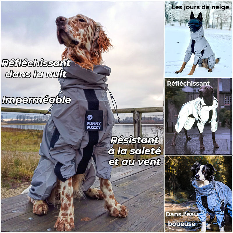 Manteau imperméable réfléchissant Manteau de pluie pour chien