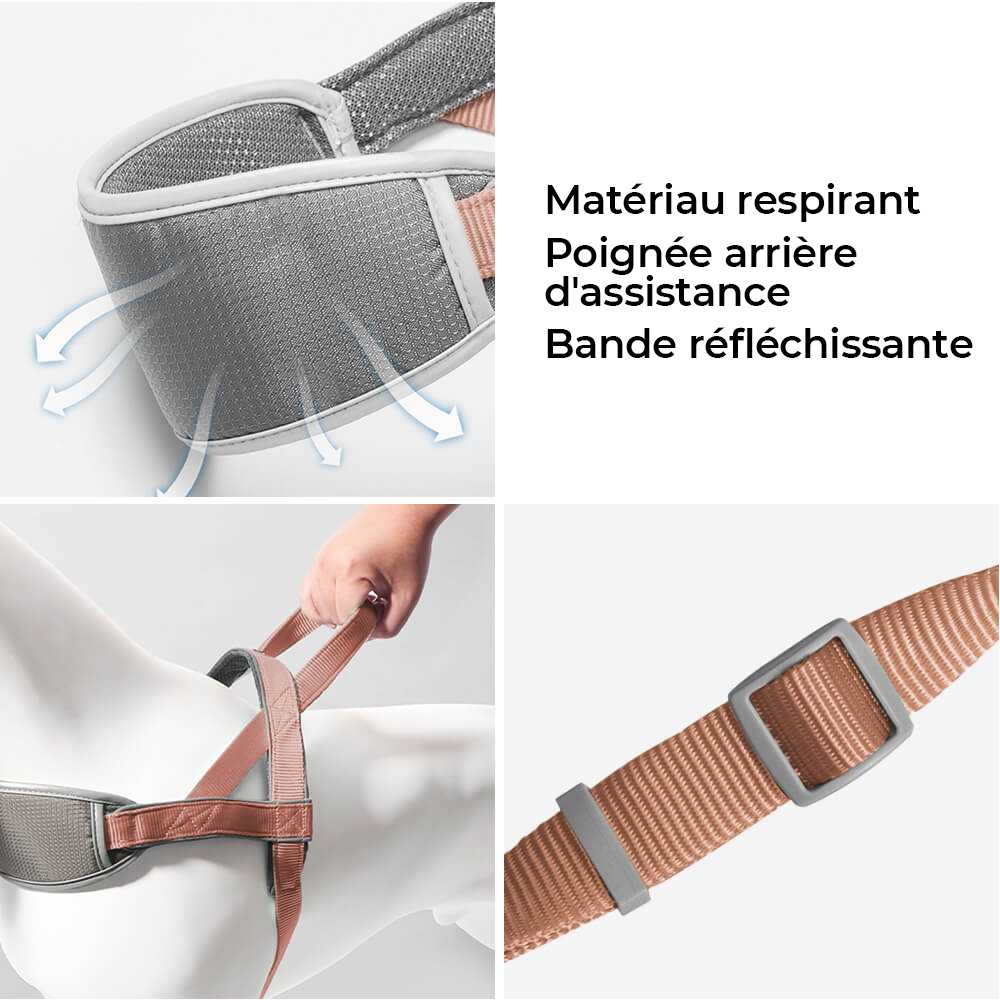 Harnais Anti-Tir Amortisseur avec Protection du Cou et Laisse pour Grand Chien