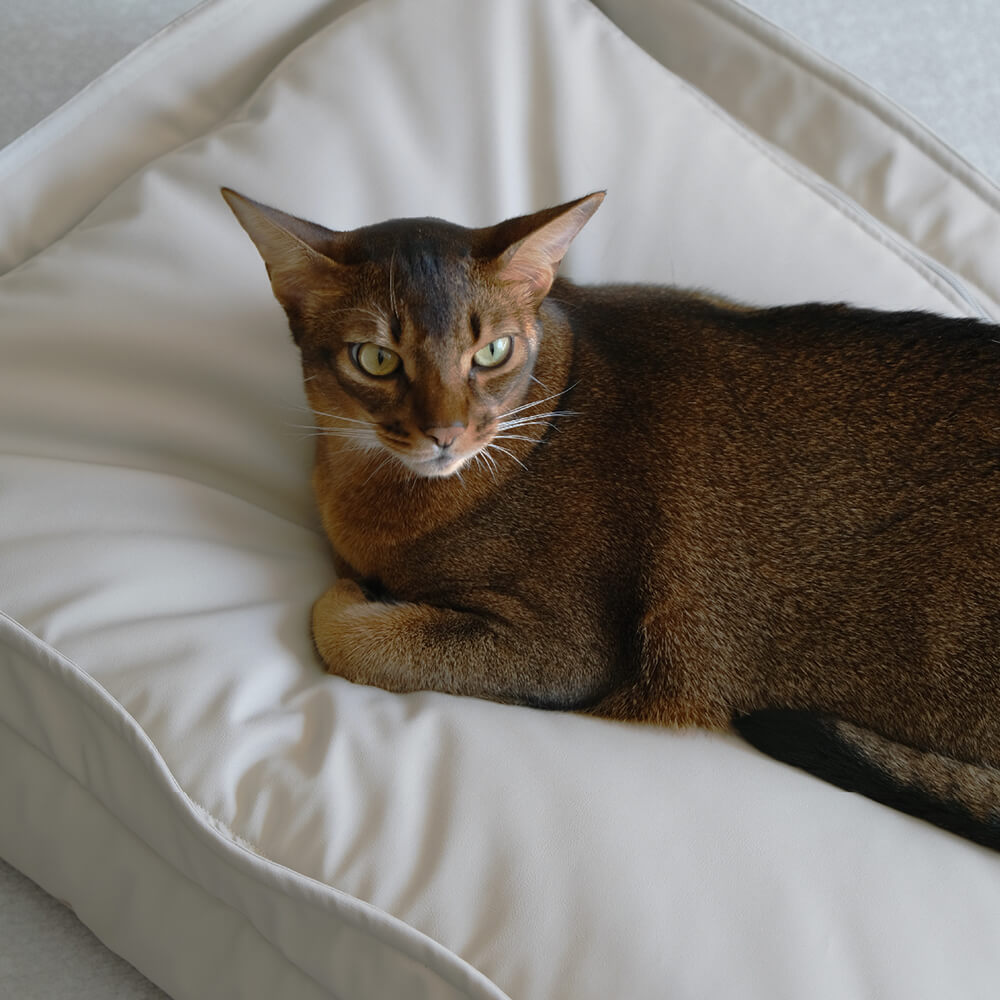 Lit pour chien multifonction en fausse laine d'agneau et cuir