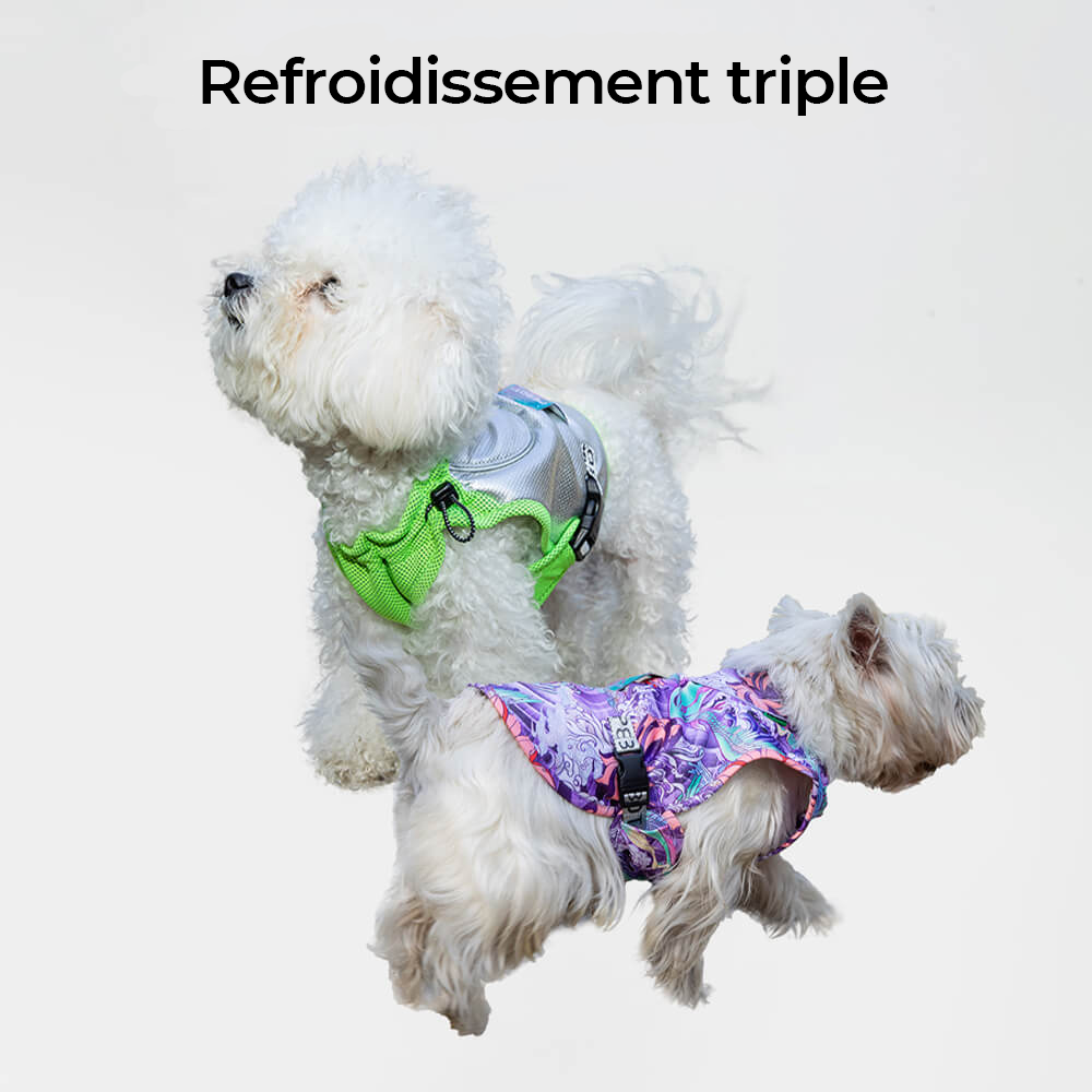 Gilet Refroidissant Léger Protection UV Pour Chien