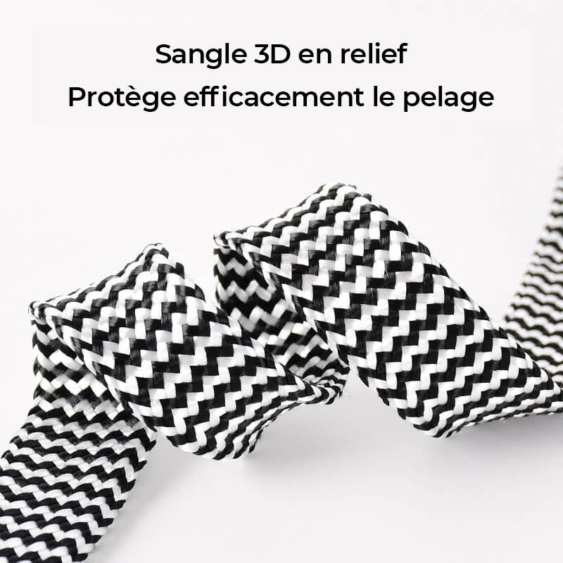 Collier pour Chien avec Imprimé Zèbre et Protège-Cou Set de Promenade