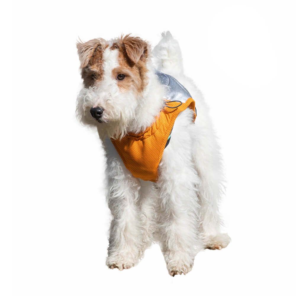 Gilet Refroidissant Léger Protection UV Pour Chien