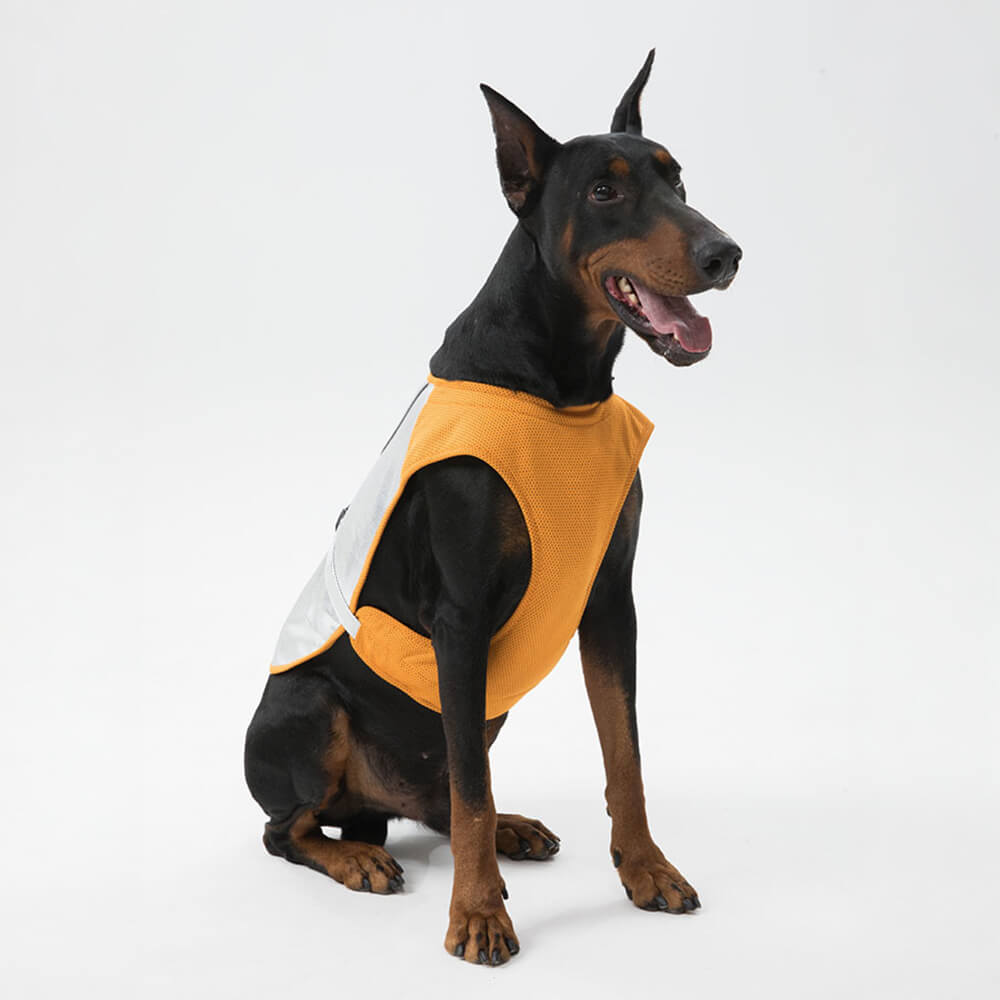 Gilet Refroidissant Léger Protection UV Pour Chien