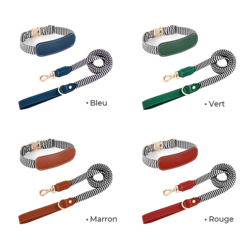 Collier pour Chien avec Imprimé Zèbre et Protège-Cou Set de Promenade