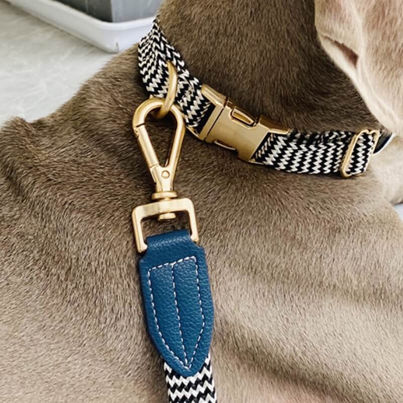 Collier pour Chien avec Imprimé Zèbre et Protège-Cou Set de Promenade