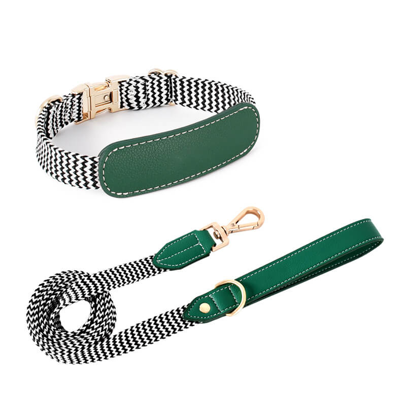Collier pour Chien avec Imprimé Zèbre et Protège-Cou Set de Promenade