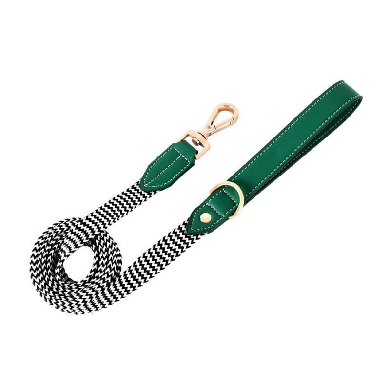 Collier pour Chien avec Imprimé Zèbre et Protège-Cou Set de Promenade