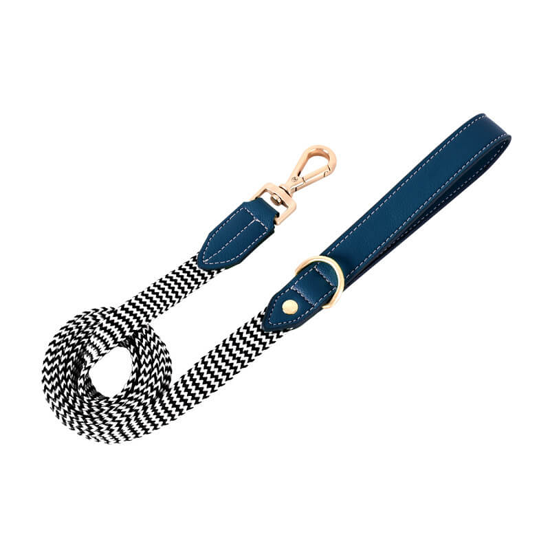 Collier pour Chien avec Imprimé Zèbre et Protège-Cou Set de Promenade