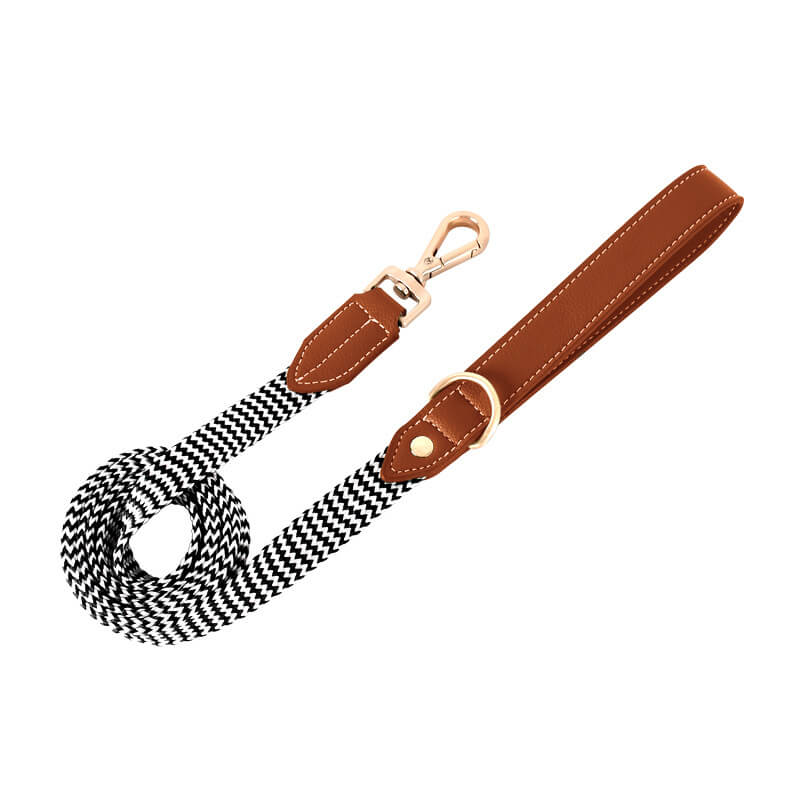 Collier pour Chien avec Imprimé Zèbre et Protège-Cou Set de Promenade