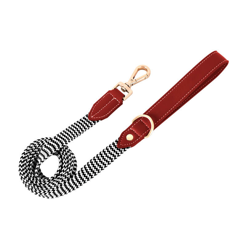 Collier pour Chien avec Imprimé Zèbre et Protège-Cou Set de Promenade