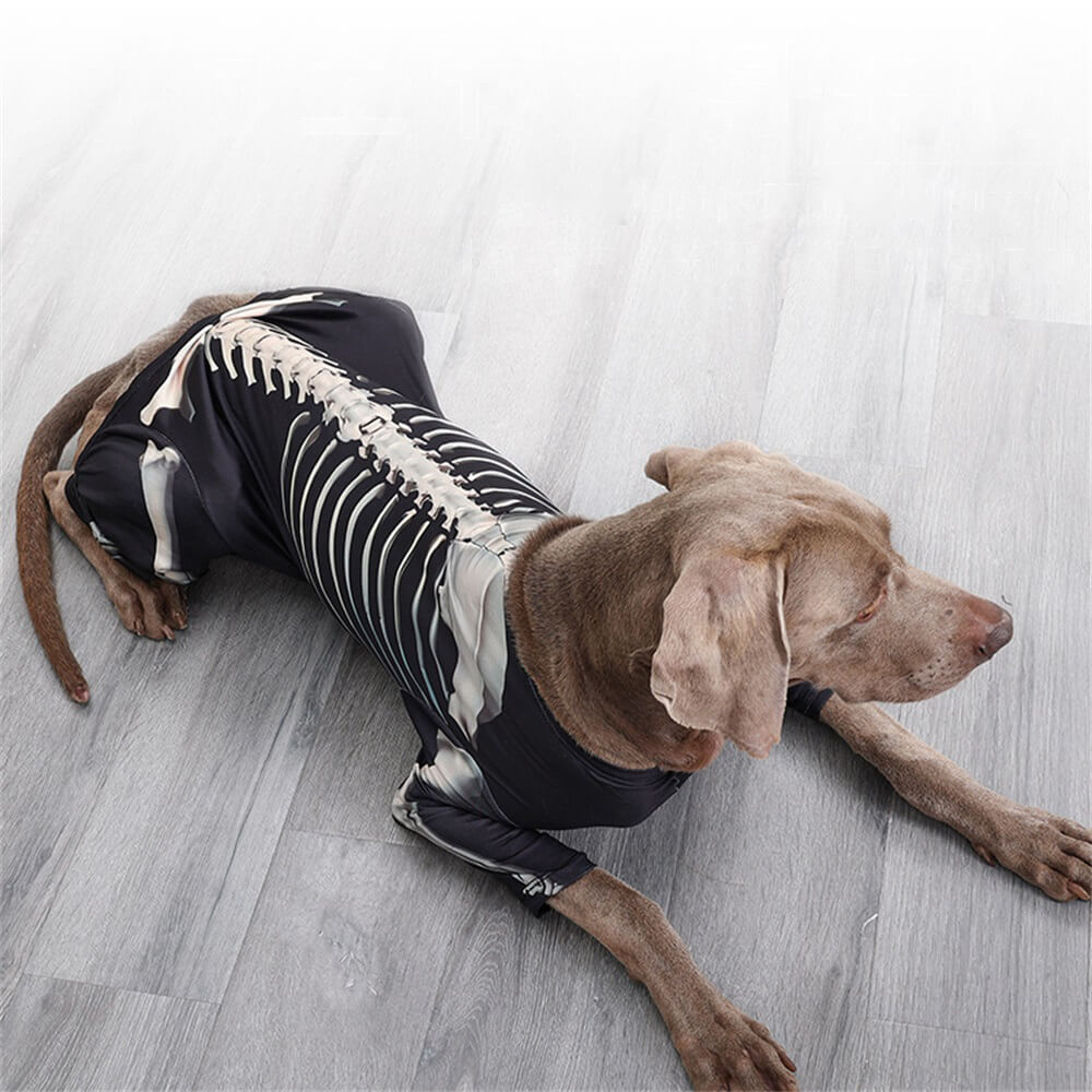 Costume Halloween Élastique Squelette pour Grands Chiens