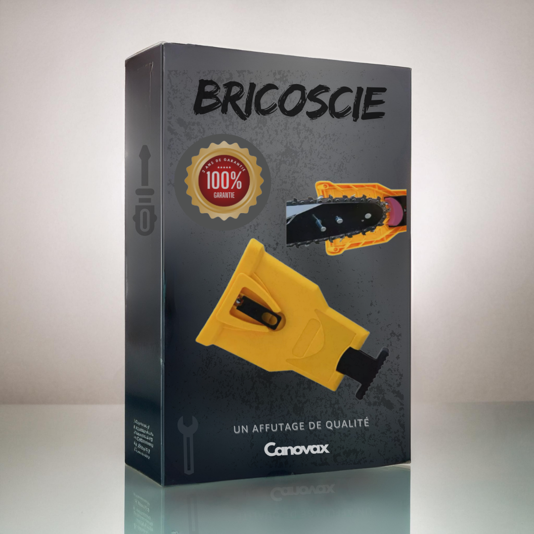 BricoScie