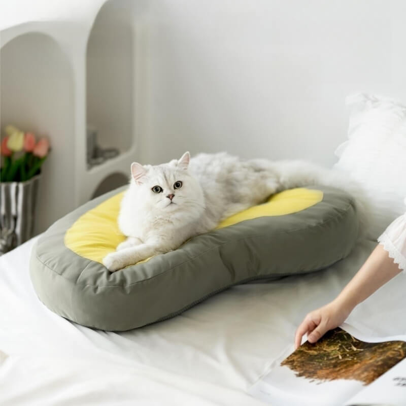 Tapis pour Animaux Extra Épais Lit Chien & Chat