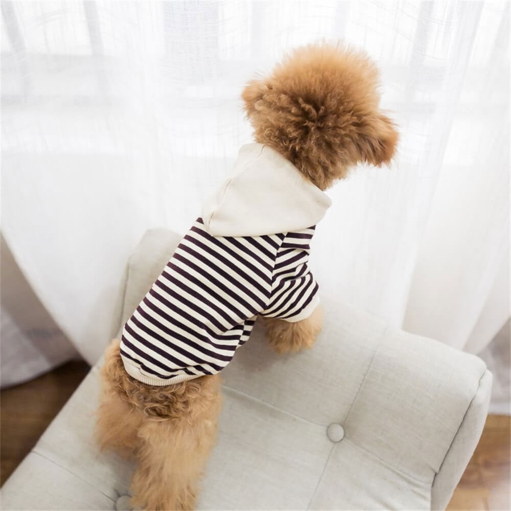 Vêtement pour Chien Mode Hoodie Rayé