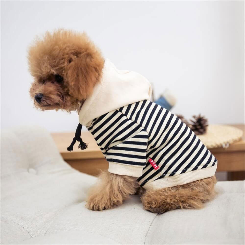 Vêtement pour Chien Mode Hoodie Rayé
