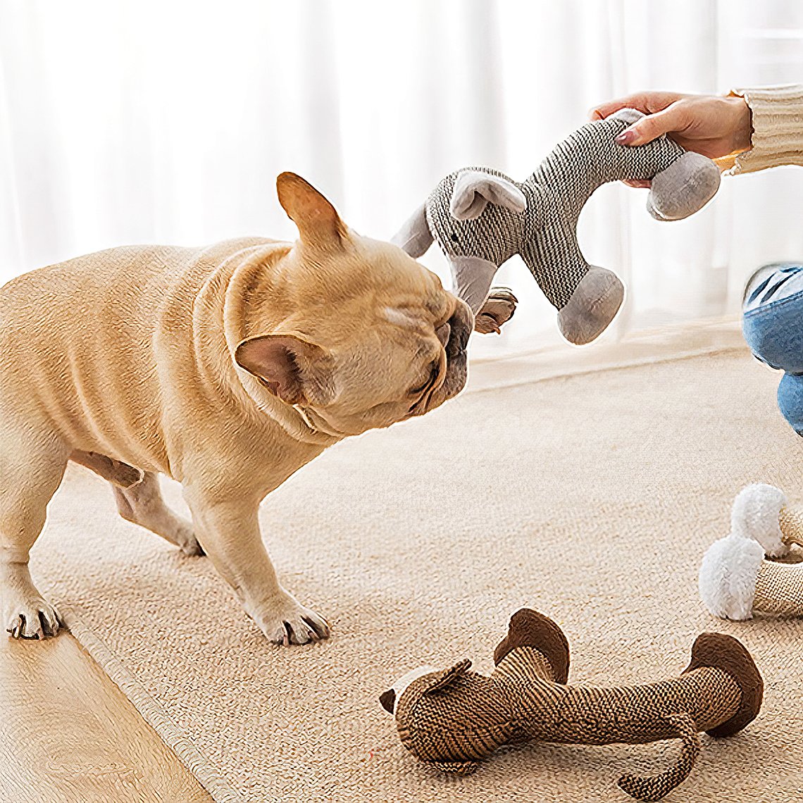 Jouets à mâcher animaux grinçants pour chien