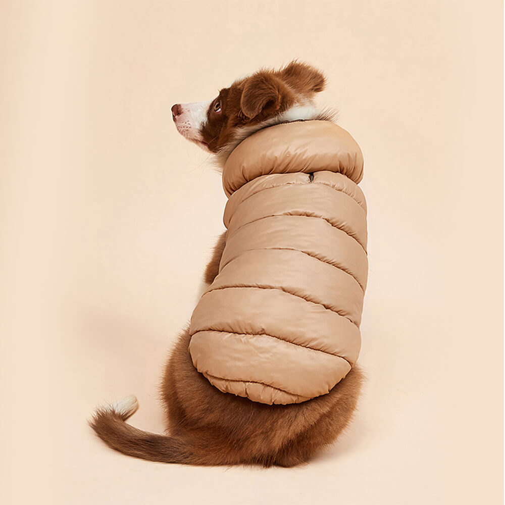 Veste réversible légère et chaude pour chien