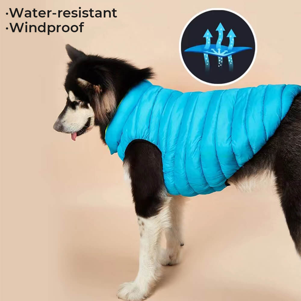 Veste réversible légère et chaude pour chien