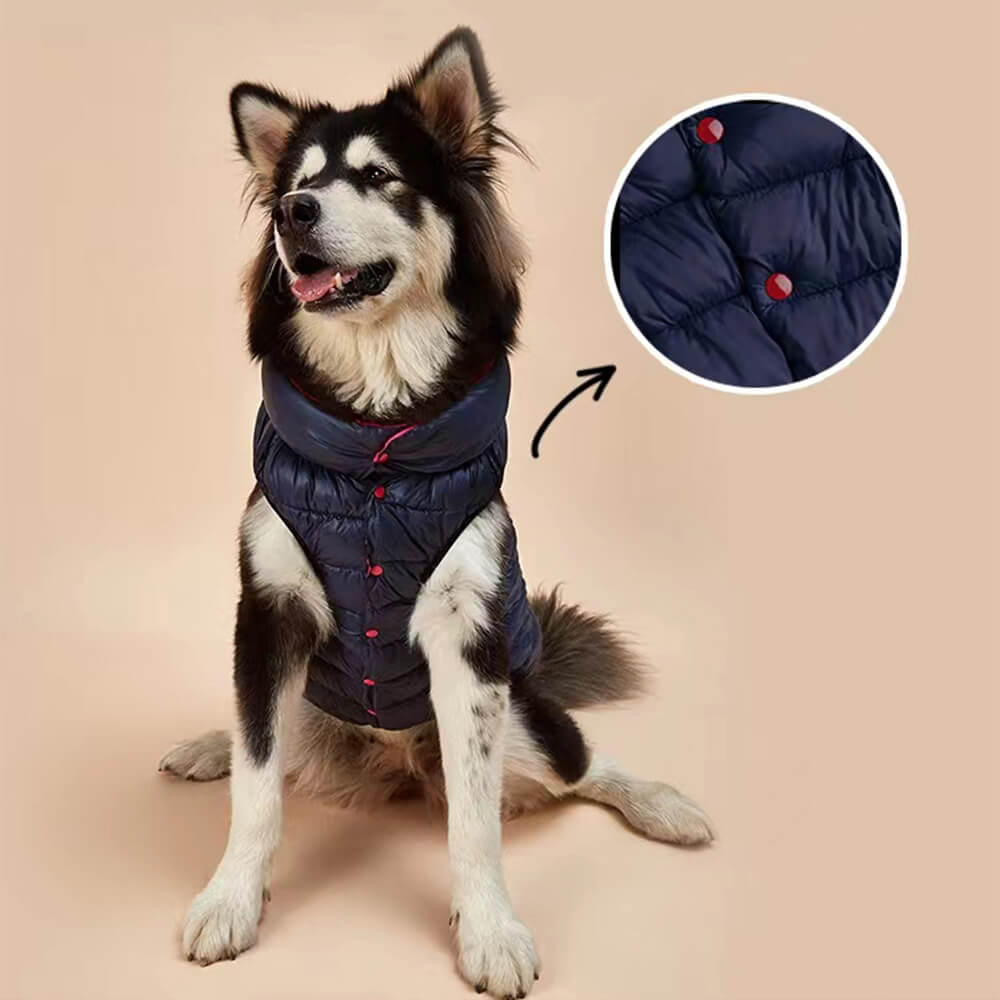 Veste réversible légère et chaude pour chien