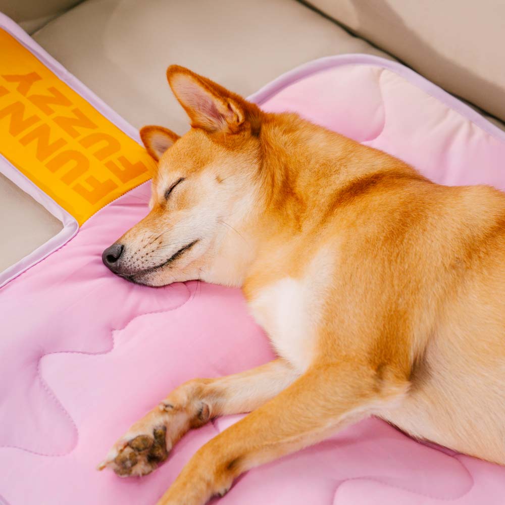 iChill Tapis Rafraîchissant pour Chien Lavable Ice Cream