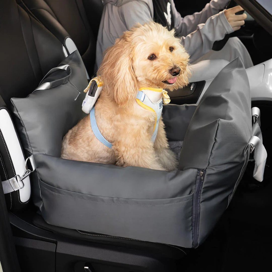 Siège auto pour Chien - Première Classe