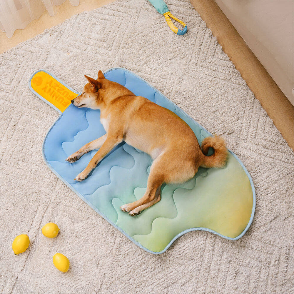 iChill Tapis Rafraîchissant pour Chien Lavable Ice Cream