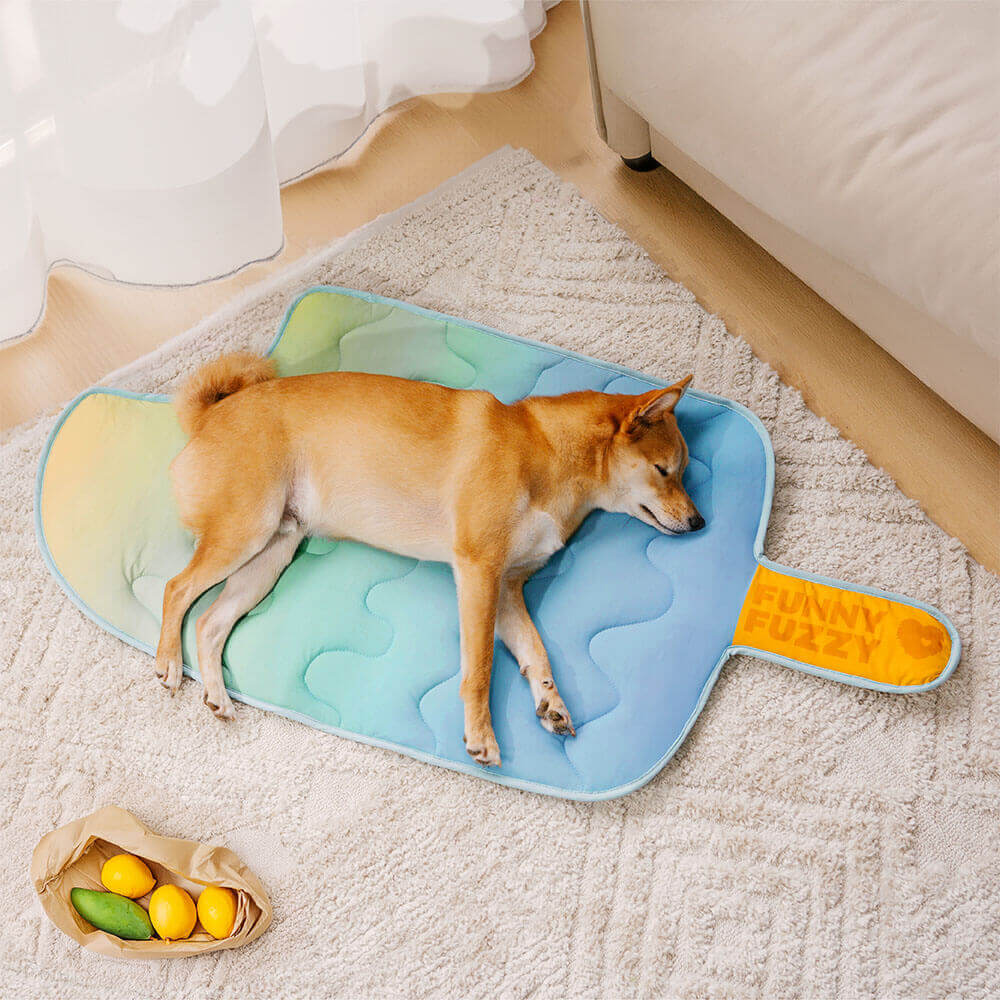 iChill Tapis Rafraîchissant pour Chien Lavable Ice Cream