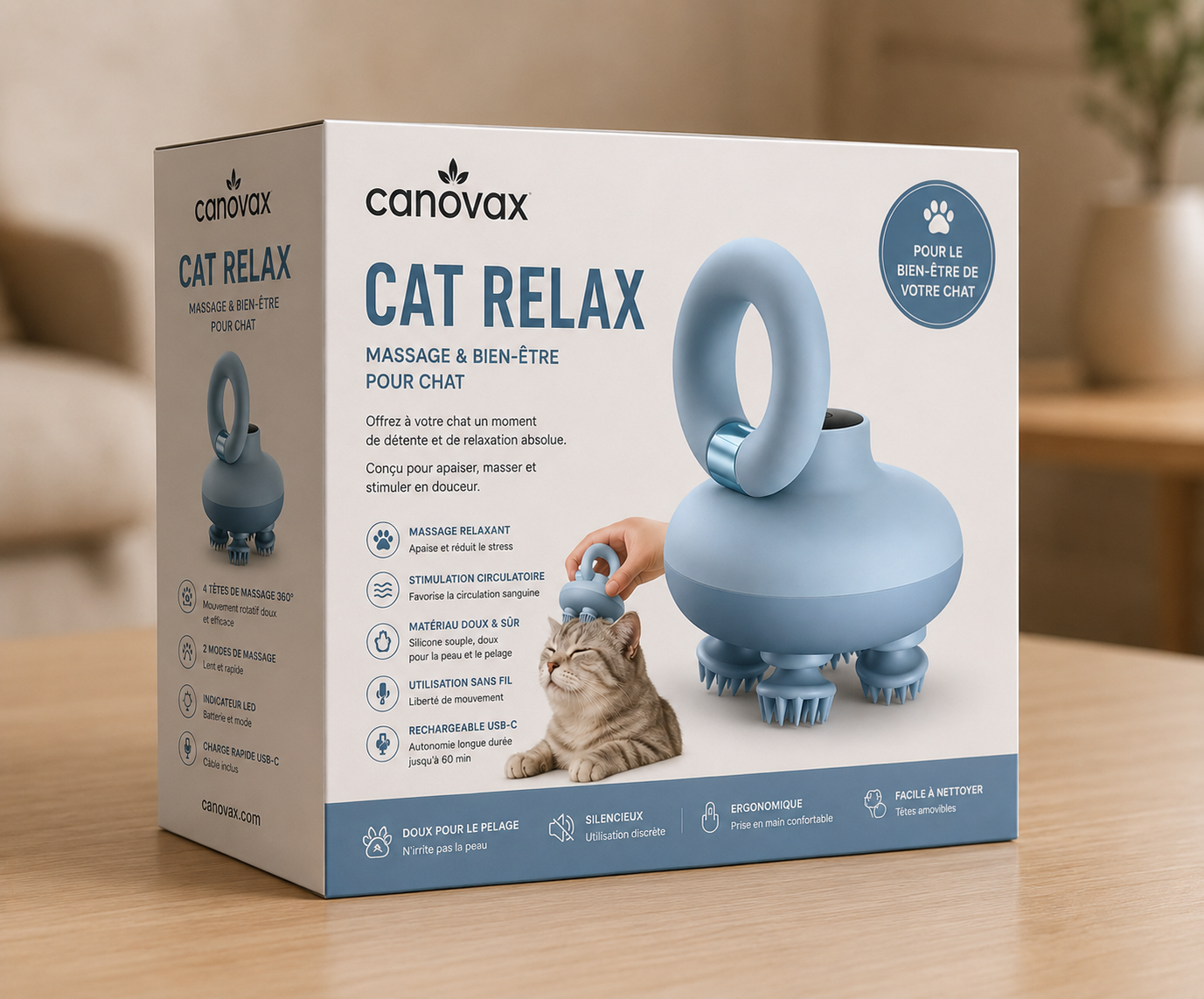 Cat relax