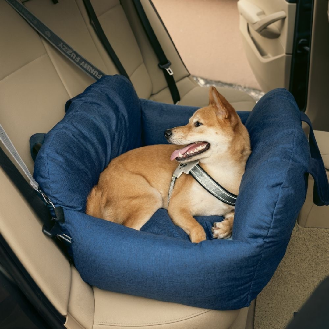 Siège auto pour Chien - Première Classe