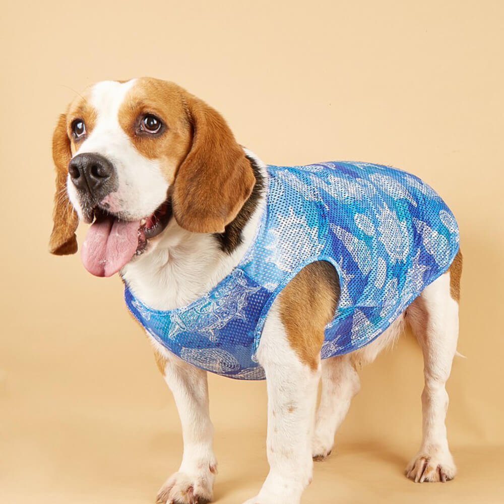 Veste pour Animaux Imprimé Ripple Hippocampe Sensation Fraîche