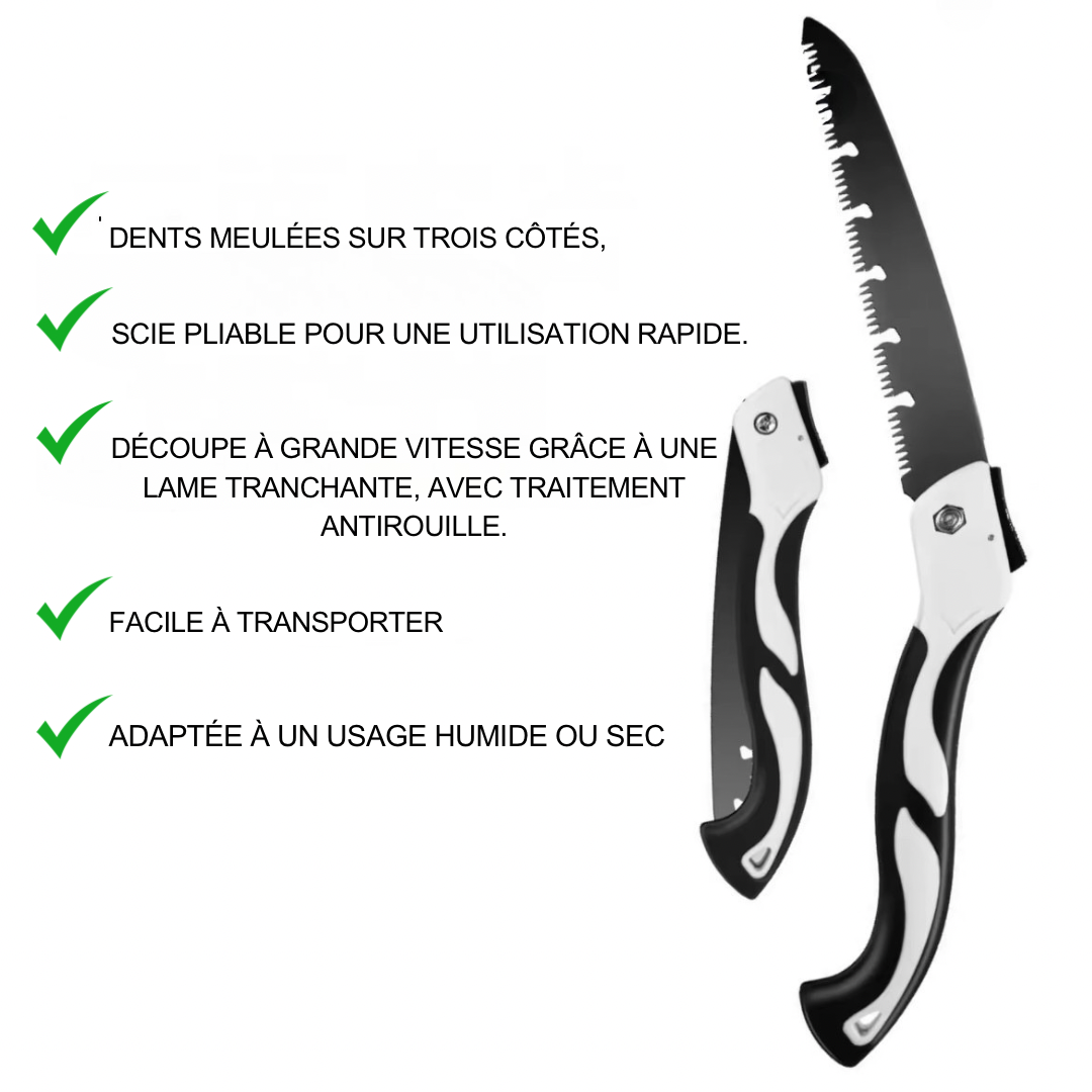 ScieFlex Canovax