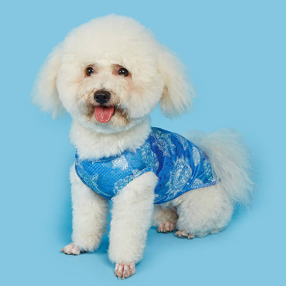 Veste pour Animaux Imprimé Ripple Hippocampe Sensation Fraîche