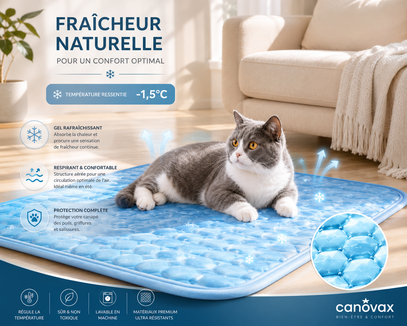 Fresh Cat