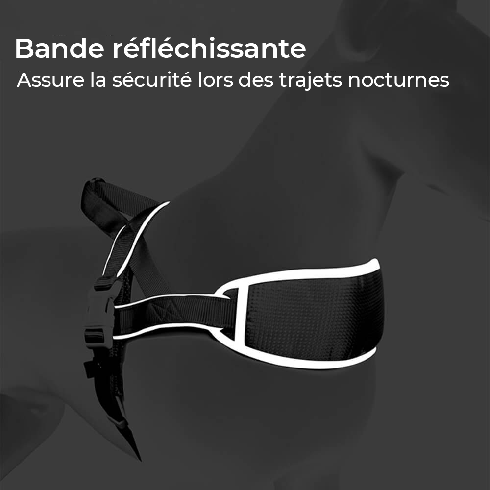 Harnais Anti-Tir Amortisseur avec Protection du Cou et Laisse pour Grand Chien