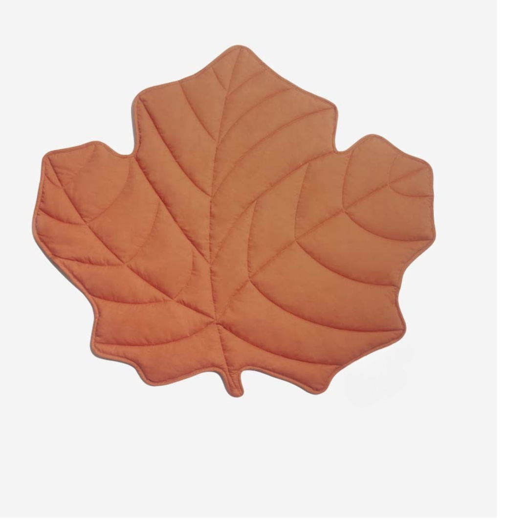 Couverture pour Chien en Forme de Feuille