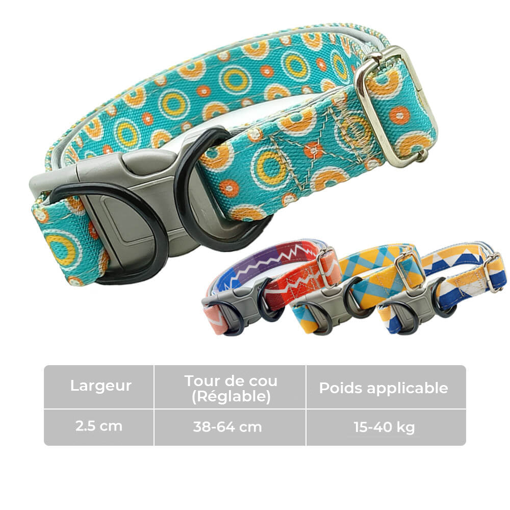 Collier et laisse pour grand chien coloré à haute élasticité