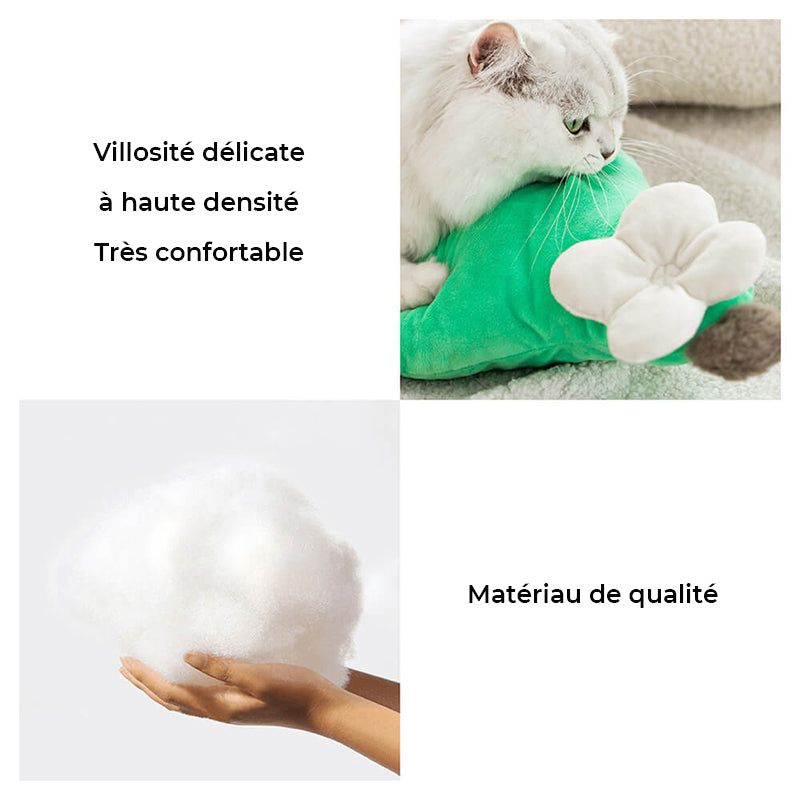 Coussin mignon et douillet pour animaux de compagnie