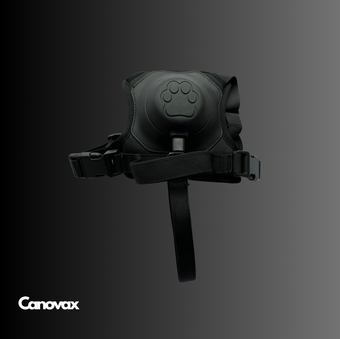 Easy Harnais Canovax