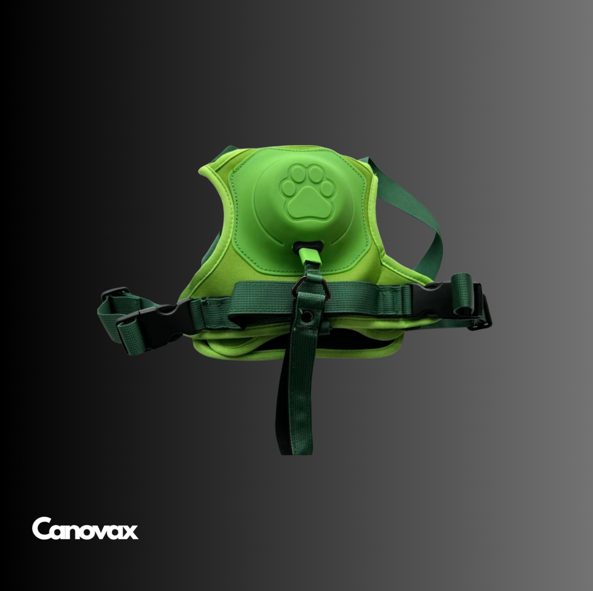 Easy Harnais Canovax
